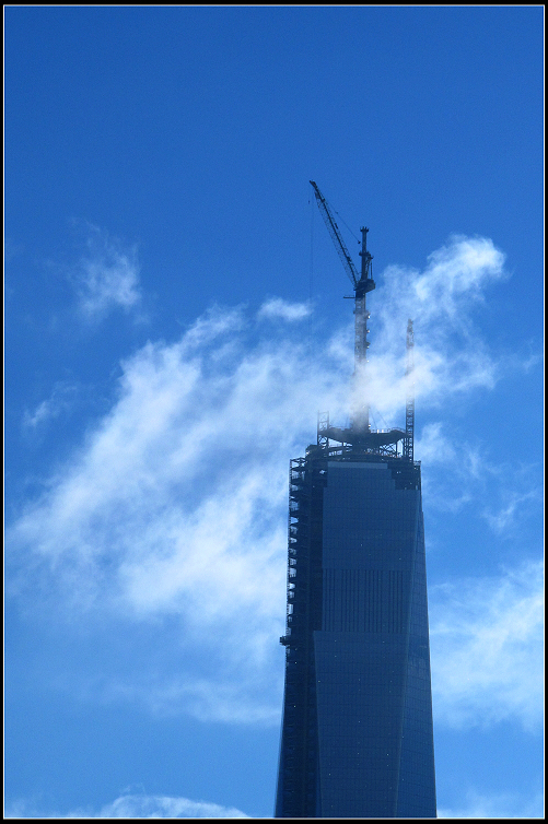 IMG_4650.jpg
