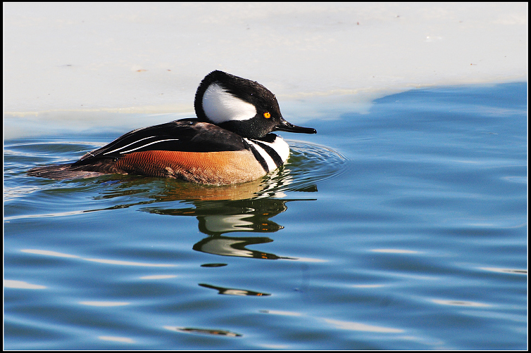 DSC_0797.JPG