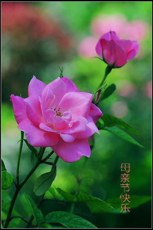 DSC_6202.JPG