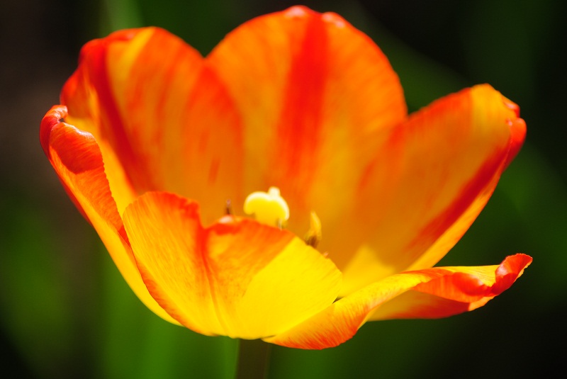 DSC_0307.JPG
