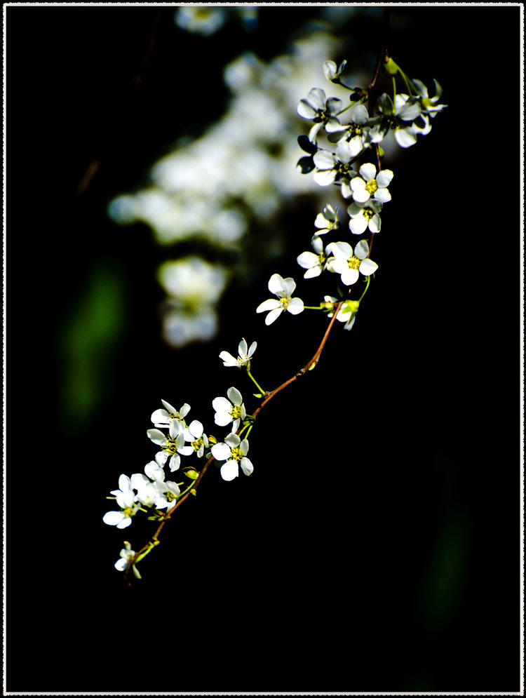 _DSC8673.jpg