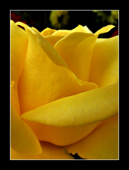DSC00276.JPG