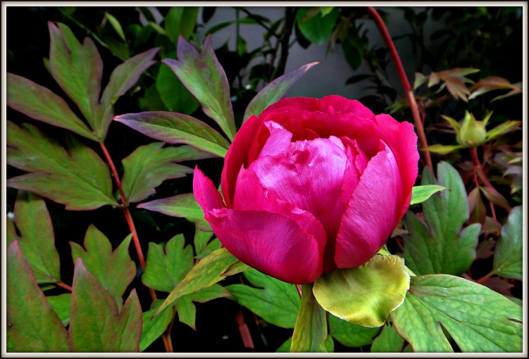 DSC00138.JPG