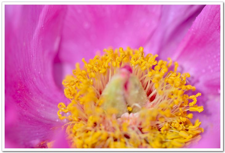 nEO_IMG_DSC_3731.jpg