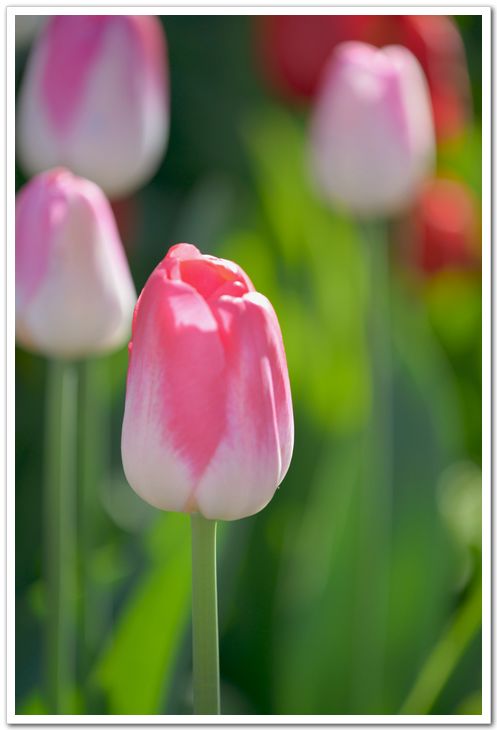 nEO_IMG_DSC_2967.jpg