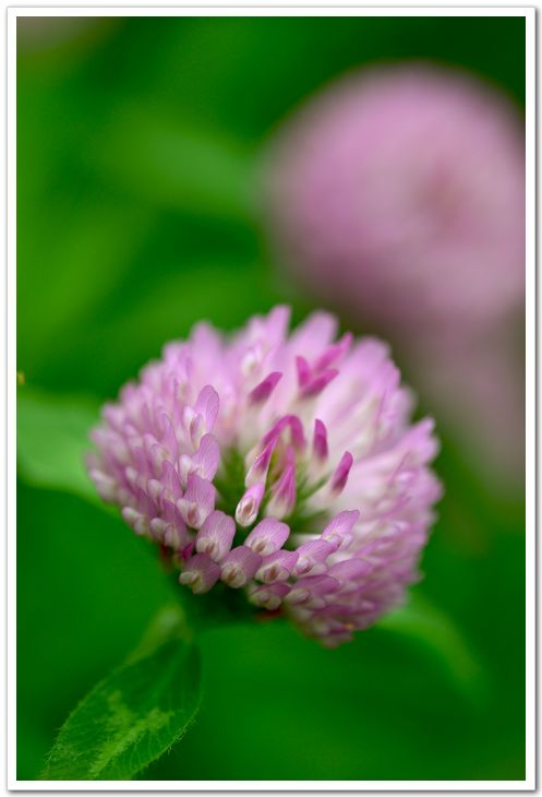 nEO_IMG_DSC_6179.jpg
