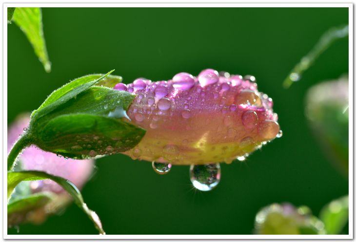 nEO_IMG_DSC_6091.jpg