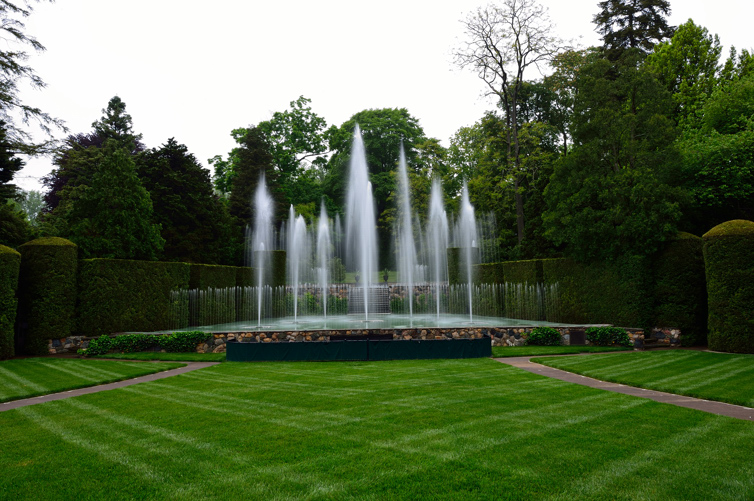 DSC_6935.jpg