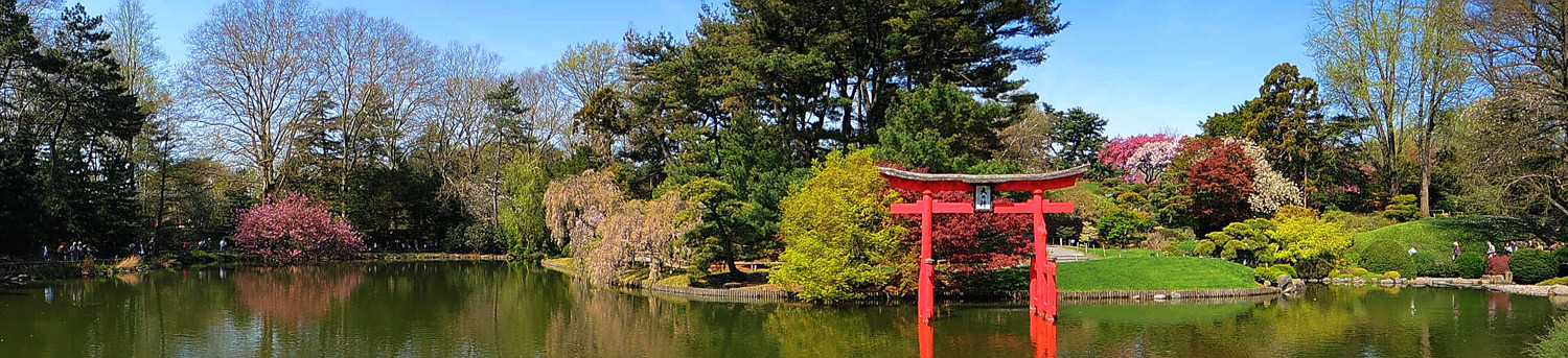 DSCN0141.jpg