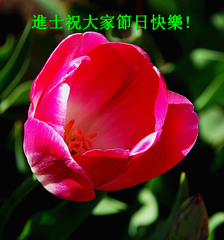 DSC_0363_����_����1.jpg