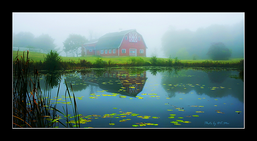 DSC_6098C.jpg