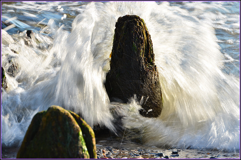 DSC_2109.jpg