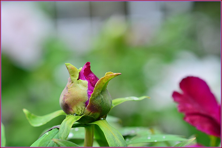 DSC_1577.jpg
