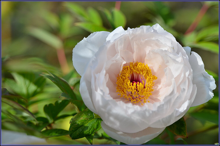 DSC_1114.jpg