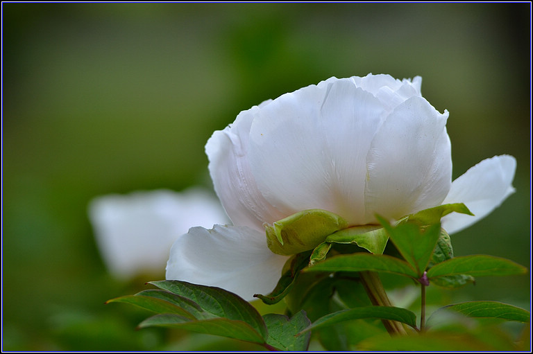DSC_1140.jpg