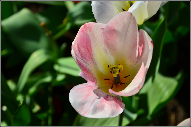 DSC_0568.jpg