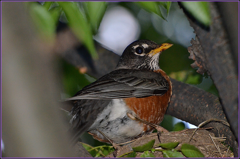 DSC_1316.jpg