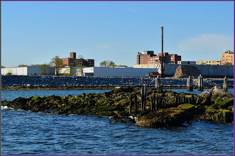DSC_2031.jpg