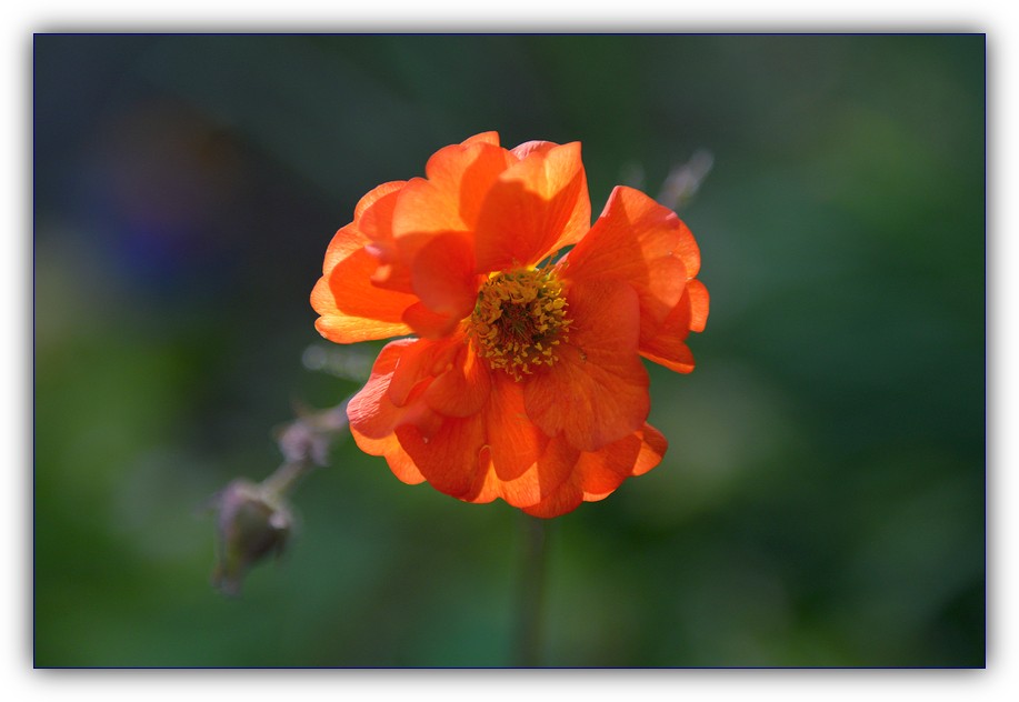 DSC_2199.jpg