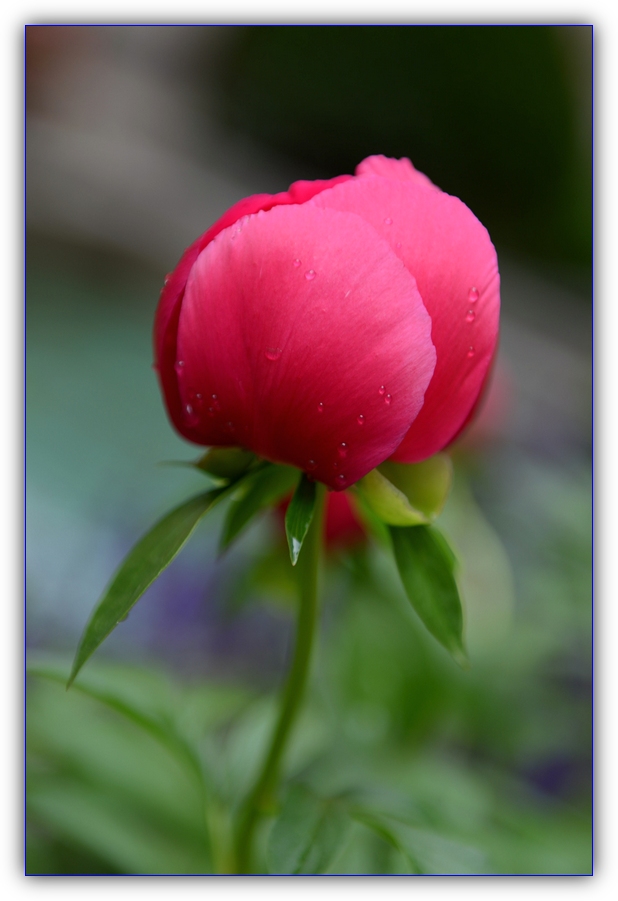 DSC_0612.jpg