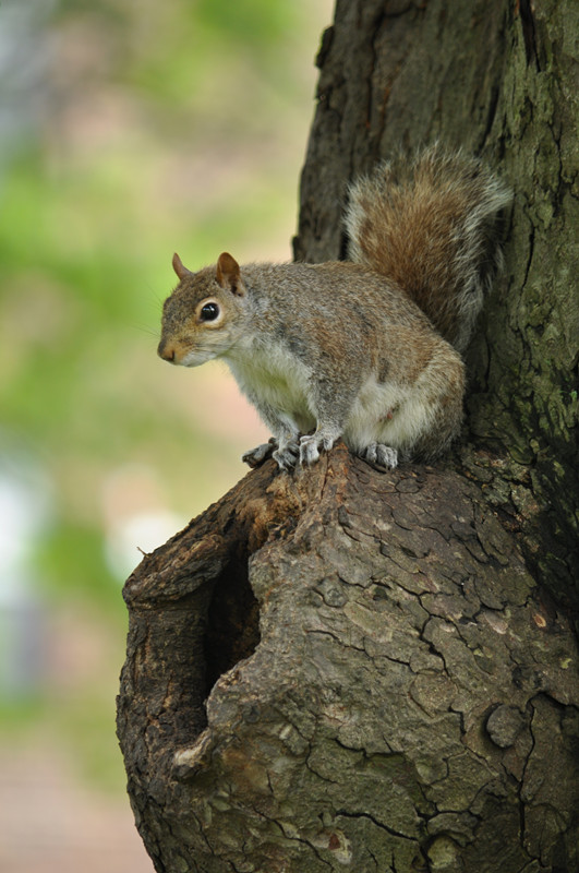 DSC_0861_����.jpg