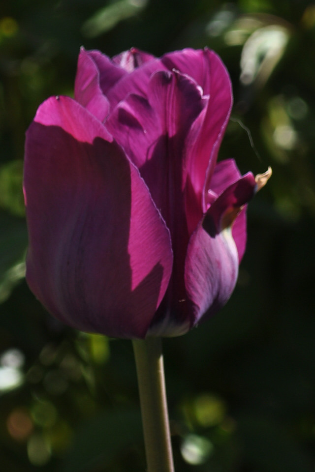 CSC_0646_����.jpg