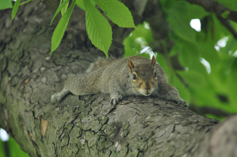 DSC_0866_����.jpg