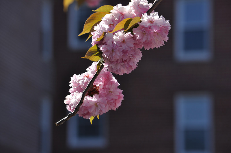 DSC_0653_����.jpg