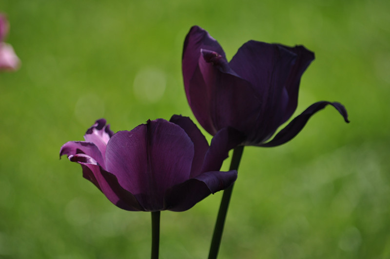 DSC_0812_����.jpg