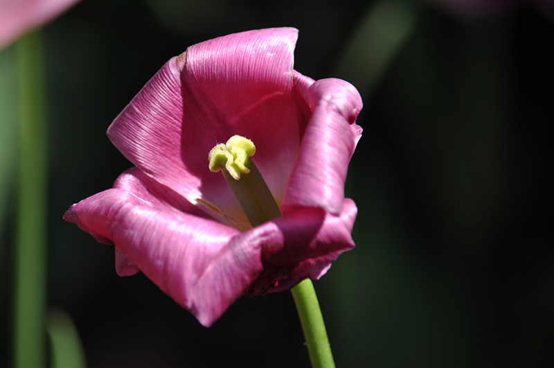 DSC_0809_����.jpg