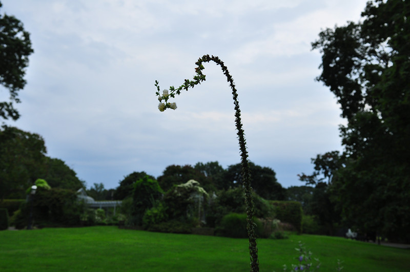 DSC_0921_����.jpg