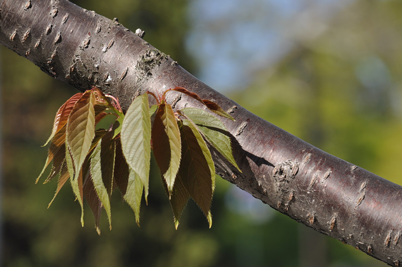 DSC_0666_����.jpg