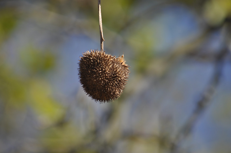 DSC_0685_����.jpg