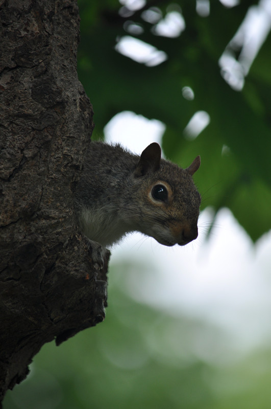 DSC_0865_����.jpg