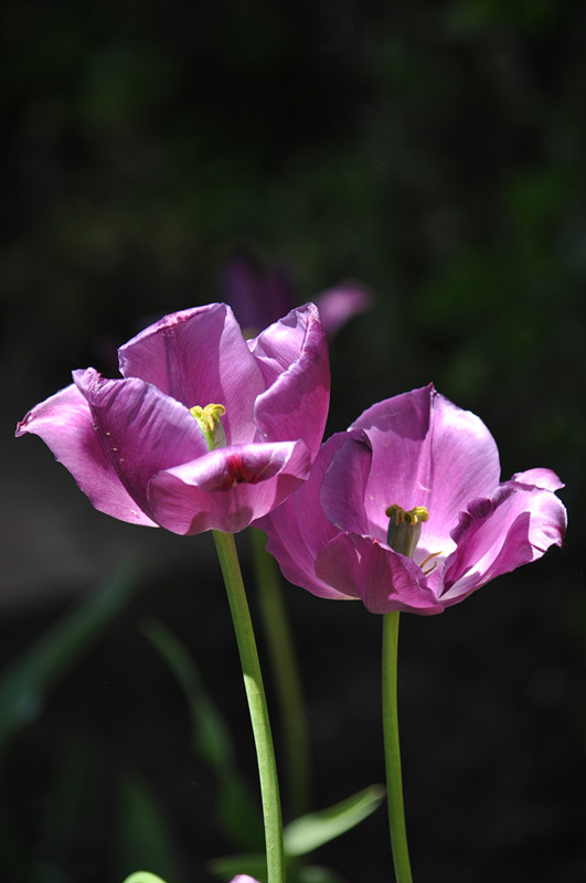 DSC_0797_����.jpg