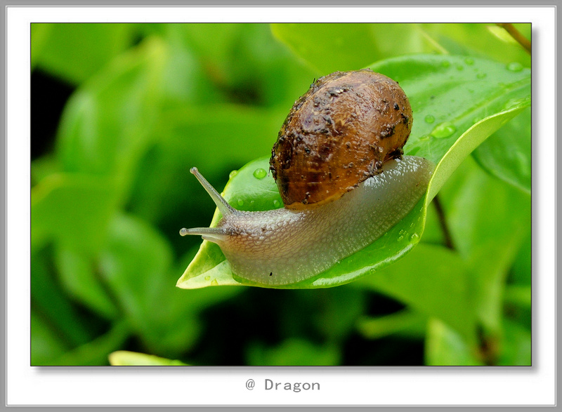DSCF7366.jpg