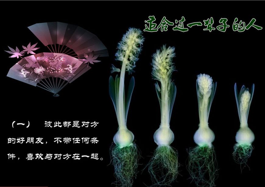QQͼ20130504213810.jpg
