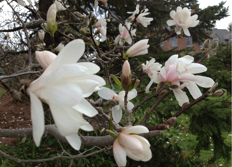 20130302_151908.jpg