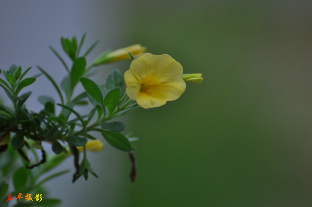 DSC_8553.JPG