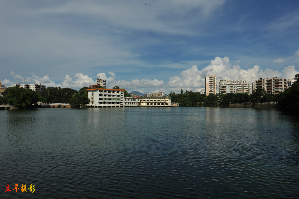 DSC_8381.jpg
