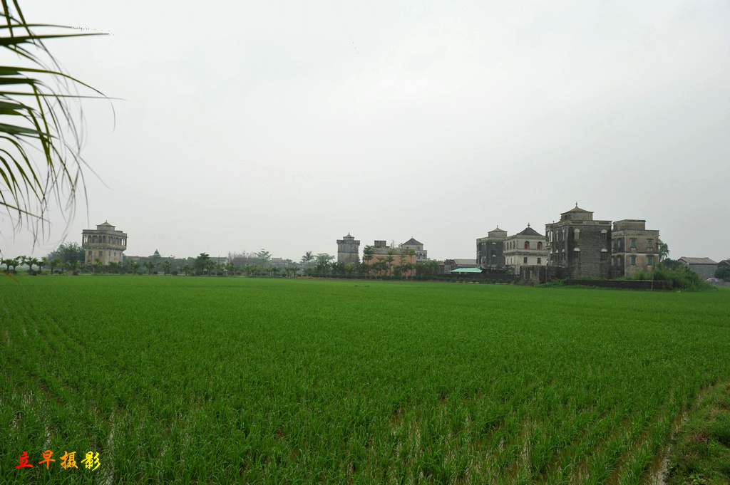 DSC_7738.JPG