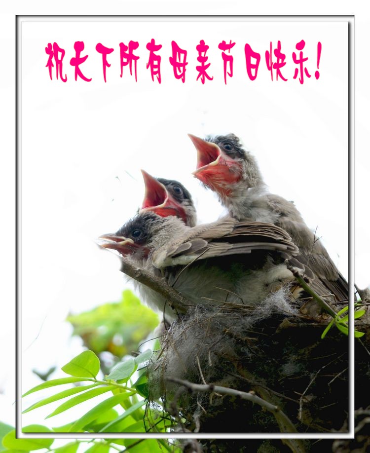 DSC_1174_conew1.jpg