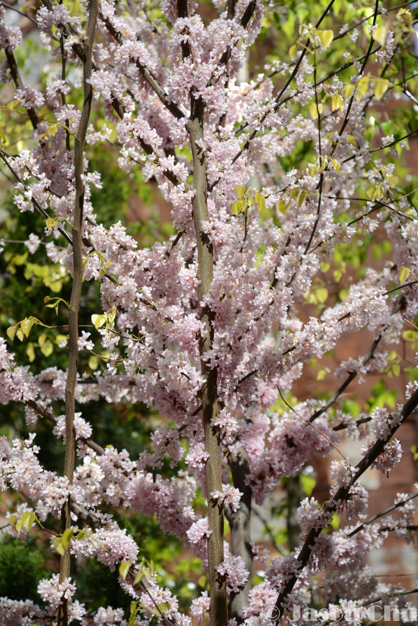 DSC_3907 (854x1280).jpg
