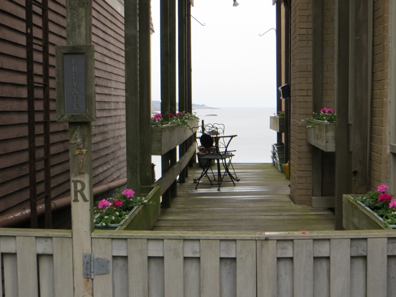 IMG_0336 (800x600).jpg