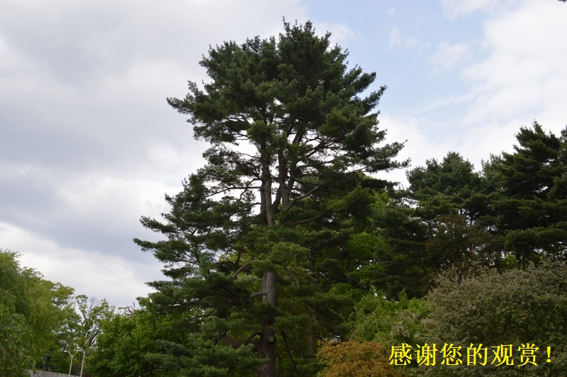 DSC_0367 (800x532).jpg