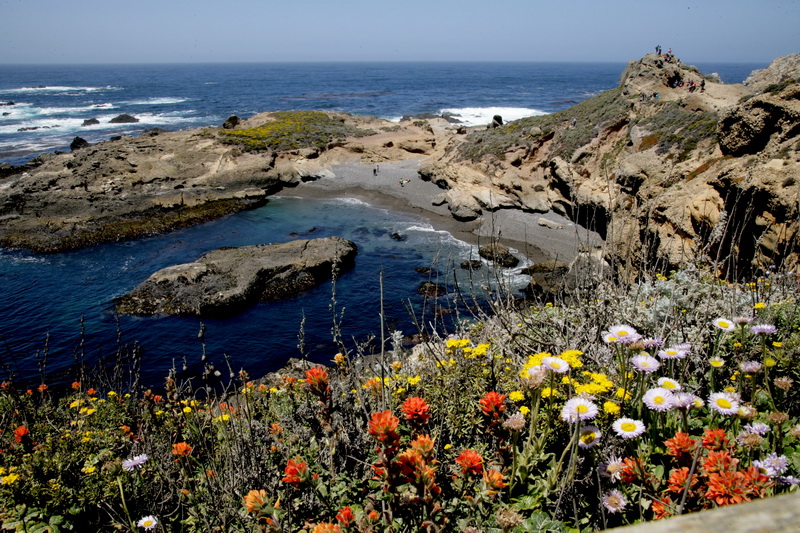 BEACH05192013_2001.JPG