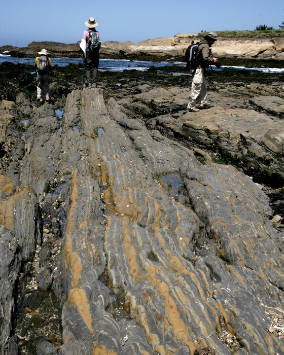 BEACH05192013_2002.JPG