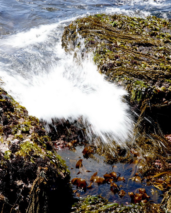 BEACH05192013_2003.JPG