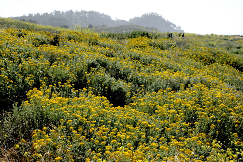 BEACH05192013_2010.JPG