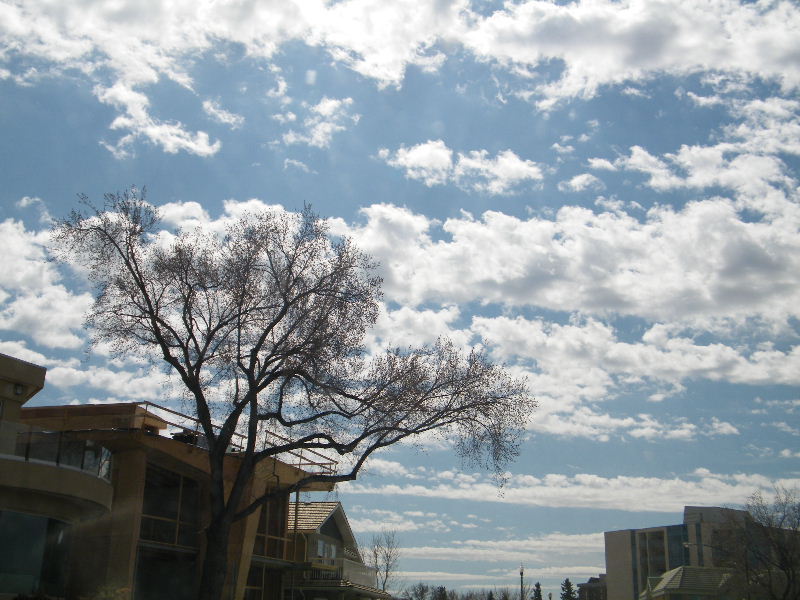 DSCF3990.JPG